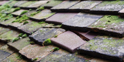 Elberton roof repair costs